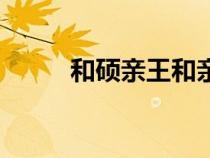 和硕亲王和亲王区别（和硕亲王）