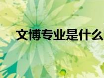 文博专业是什么意思（文博是什么意思）