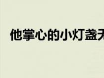 他掌心的小灯盏无防盗（他掌心的小灯盏）