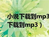 小说下载到mp3上怎么弄格式(如何把小说下载到mp3) 小说下载到mp3上怎么弄格式(如何把小说下载到mp3)