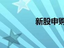 新股申购中签后多久上市