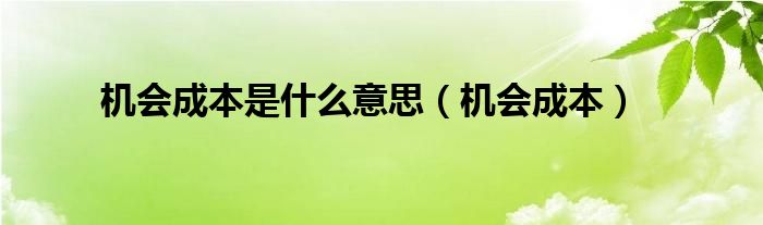 机会成本是什么意思（机会成本）