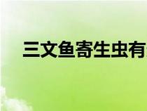 三文鱼寄生虫有多严重（三文鱼寄生虫）
