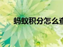 蚂蚁积分怎么查找（蚂蚁积分怎么查）