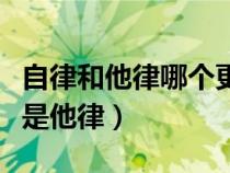 自律和他律哪个更重要辩论赛（师德靠自律还是他律）