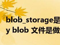blob_storage是什么文件夹（ClientRegistry blob 文件是做什么用的）