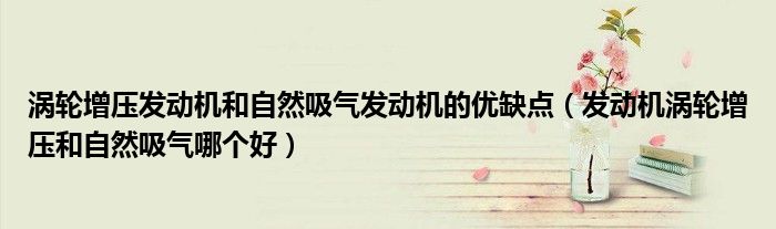 涡轮增压发动机和自然吸气发动机的优缺点（发动机涡轮增压和自然吸气哪个好）