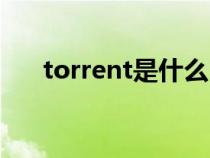 torrent是什么（torrent是什么文件）