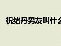 祝绪丹男友叫什么（祝绪丹的男朋友是谁）