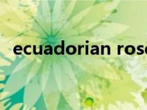 ecuadorian rose是什么意思(ecuador) ecuadorian rose是什么意思(ecuador)