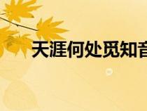 天涯何处觅知音图（天涯何处觅知音）