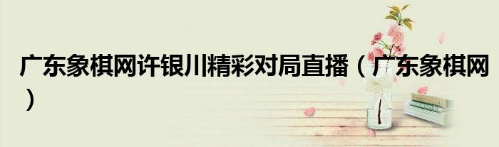 广东象棋网许银川精彩对局直播（广东象棋网）