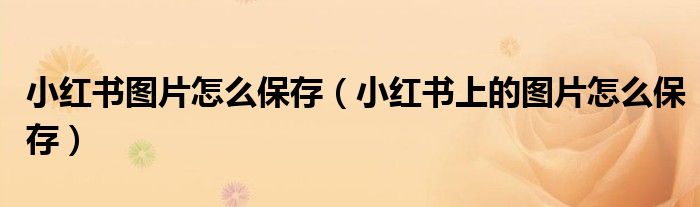 小红书图片怎么保存（小红书上的图片怎么保存）