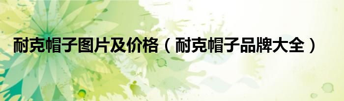 耐克帽子图片及价格（耐克帽子品牌大全）