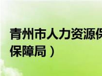 青州市人力资源保障局电话（青州市人力资源保障局）