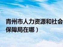 青州市人力资源和社会保障局地址（青州市人力资源和社会保障局在哪）