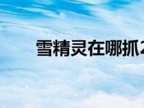 雪精灵在哪抓2020（雪精灵怎么抓）