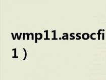 wmp11.assocfile.mp4电脑打不开（wmp11）