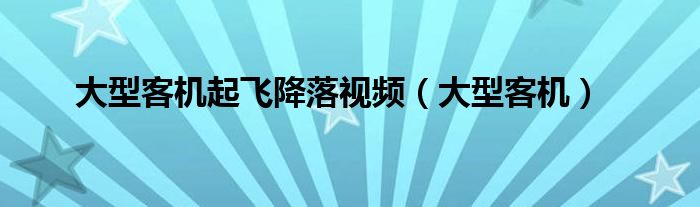 大型客机着落着落视频（大型客机）