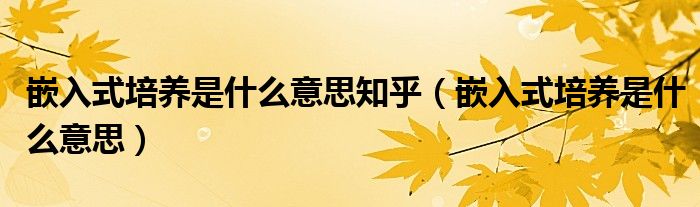 嵌入式培养是什么意思知乎（嵌入式培养是什么意思）