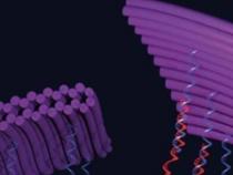DNA折纸提升电化学生物传感器性能