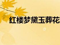 红楼梦黛玉葬花越剧（红楼梦黛玉葬花）