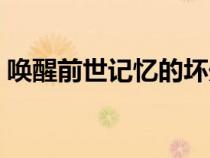 唤醒前世记忆的坏处（唤醒前世记忆的方法）