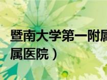 暨南大学第一附属医院官网（暨南大学第一附属医院）