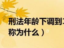 刑法年龄下调到12岁(12岁的年龄的在古代称为什么) 刑法年龄下调到12岁(12岁的年龄的在古代称为什么)
