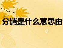 分销是什么意思由谁发货（分销是什么意思）