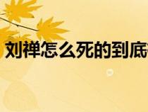 刘禅怎么死的到底有多厉害（刘禅怎么死的）