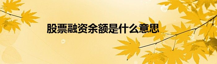 股票融资余额是什么意思