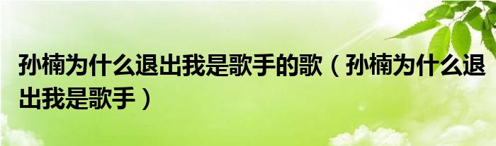 孙楠为什么退出我是歌手的歌（孙楠为什么退出我是歌手）