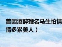 曾因酒醉鞭名马生怕情多累美人壁纸（曾因酒醉鞭名马生怕情多累美人）