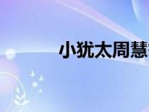 小犹太周慧敏完整版（小犹太）