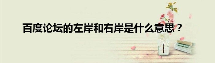百度论坛的左岸和右岸是什么意思？