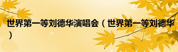 世界第一等刘德华演唱会（世界第一等刘德华）