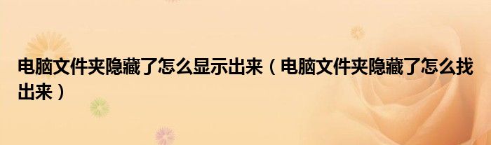 电脑文件夹隐藏了怎么显示出来（电脑文件夹隐藏了怎么找出来）