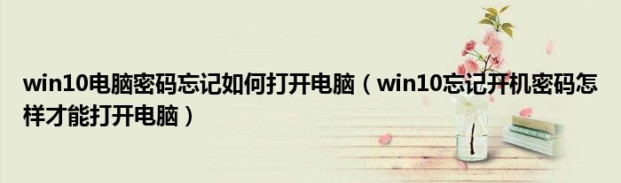 win10电脑密码忘记如何打开电脑（win10忘记开机密码怎样才能打开电脑）