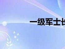 一级军士长待遇（一级录像）