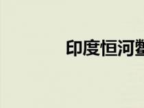 印度恒河鳖（印度恒河地图）