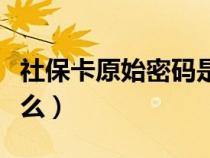 社保卡原始密码是什么（社保卡原始密码是什么）