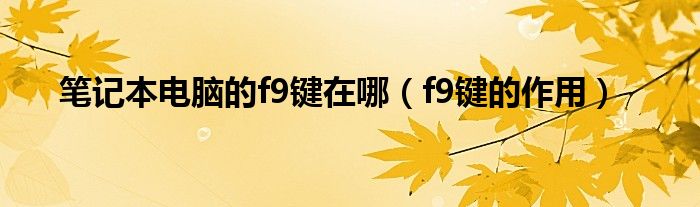 条记本电脑的f9键在哪（f9键的熏染）