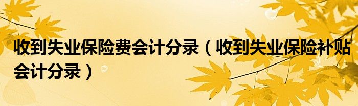 收到失业保险费会计分录（收到失业保险补贴会计分录）