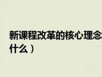 新课程改革的核心理念及其含义(新课程改革的核心理念是什么) 新课程改革的核心理念及其含义(新课程改革的核心理念是什么)