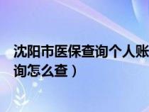 沈阳市医保查询个人账户查询怎么查（医保查询个人账户查询怎么查）