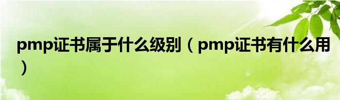 pmp证书属于什么级别（pmp证书有什么用）