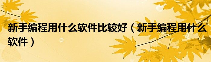 新手编程用什么软件比较好（新手编程用什么软件）