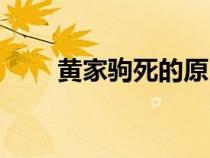 黄家驹死的原因（黄家驹怎么死的）