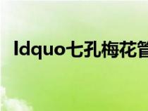 ldquo七孔梅花管rdquo应该定多少额度? ldquo七孔梅花管rdquo应该定多少额度?